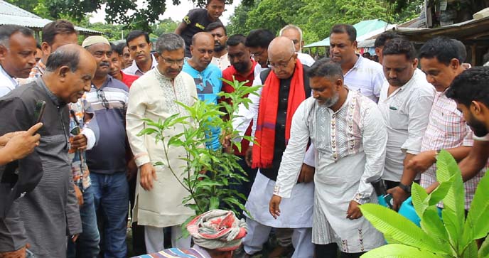 পাবনায় জাতীয় বৃক্ষ রোপন কর্মসূচীর উদ্বোধন